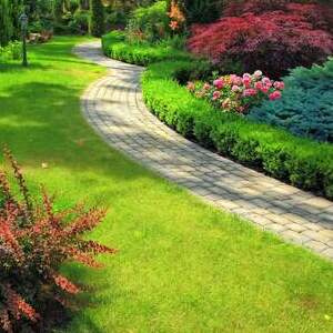 landscaping 01